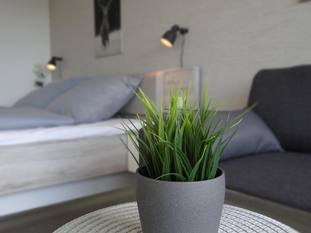 Harz Loft - Vier Jahreszeiten Апартаменты *